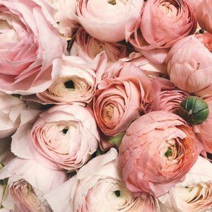 Meet your Posher, Shay